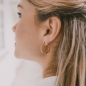 Preview: Hoops ALIDA