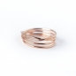Preview: Ring RINA