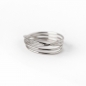 Preview: Ring RINA